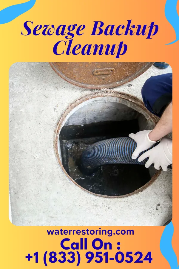 Sewage Backup Cleanup in St. James, NC