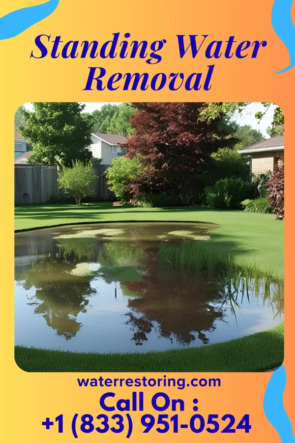 Standing Water Removal in St. James, NC